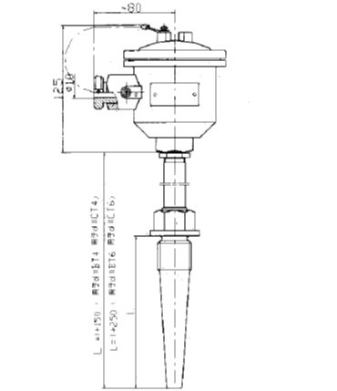 WRN-640固定螺紋錐形保護(hù)管防爆熱電偶安裝圖片 WRN-640固定螺紋錐形保護(hù)管防爆熱電偶安裝圖片